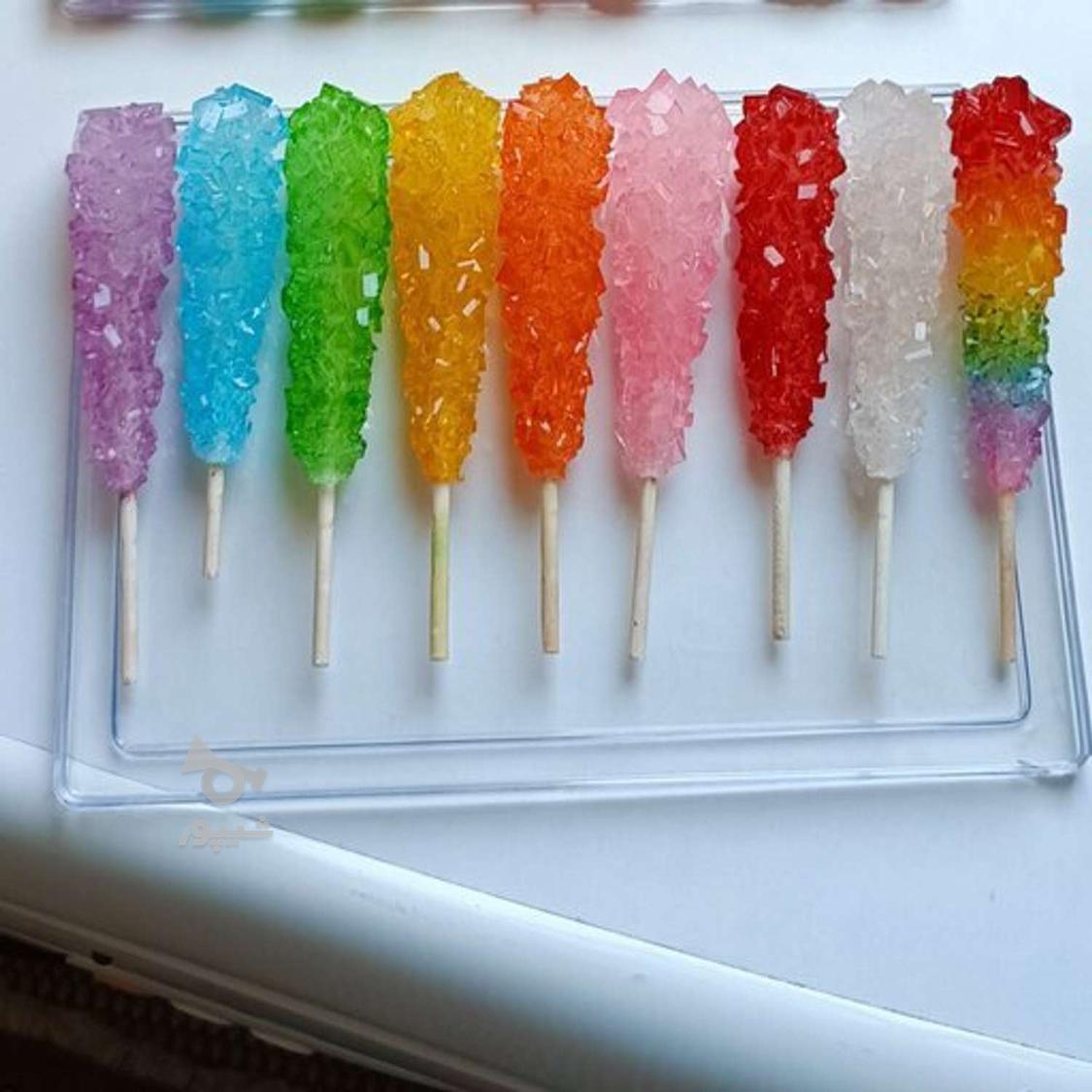 نبات های میوه ای