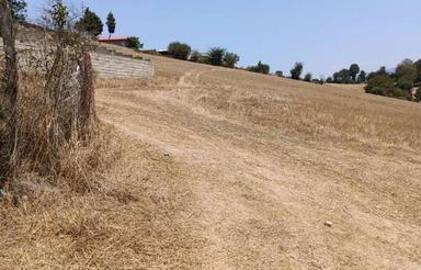 زمین داخل بافت