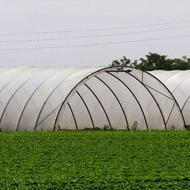 پلاستیک دست دوم گلخانه ولی سالم خریدارم..