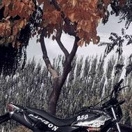 موتور رادیسون گلد