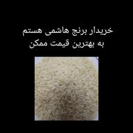 خریدار برنج هاشمی