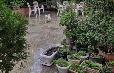 فروش خانه ویلایی