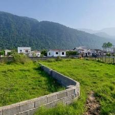 زمین شهرکی در قلعه گردن با ویو بی نظیر از جنگل