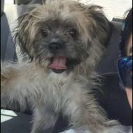 حنا خانم اموزش دیده