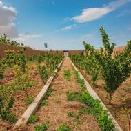 باغ باموقعیت عالی درکوشک