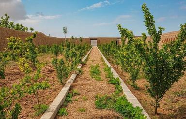 باغ باموقعیت عالی درکوشک