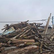 چوب سوختنی کنده وهیزوم