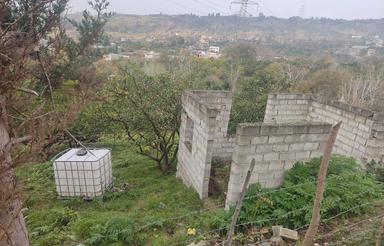 فروش زمین 315 متری ویودار و جنگلی در شمال