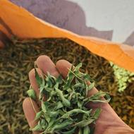 برگ بهلیمو عمده خریدارم