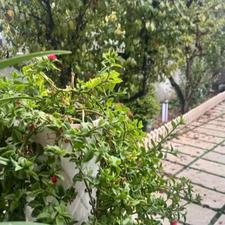 فروش ویلا 700 متر در عبدل آباد