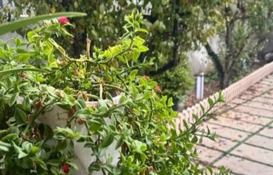 فروش ویلا 700 متر در عبدل آباد