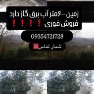 سوادکوه شیرگاه جاده لفور