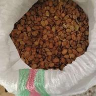 باقلا خشک بوجاری(قیمت توافقی) زاغمرز