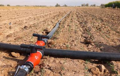 فروش زمین کشاورزی با مجوز گاوداری صنعتی