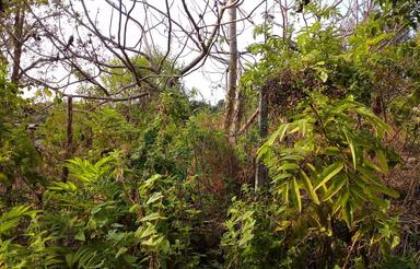 250 متر زمین داخل بافت ویو ابدی در گرمستان