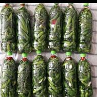 خیار شور جا نوشابه‌ ای