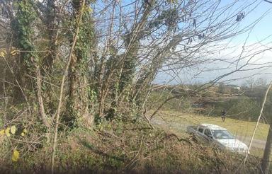 فروش زمین مسکونی 3000 متر در شفارود