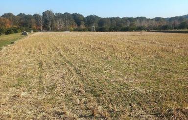 فروش زمین کشاورزی