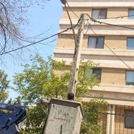 اجاره نیسان بالابر