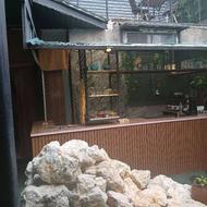 واگذاری کافه در عبوری و فروش تجهیزات کامل 130متر