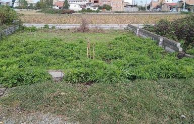 فروش زمین مسکونی 190 متر در ترک محله