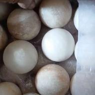 نمک جهرم داراب خاتونی سفید،نباتی صورتی