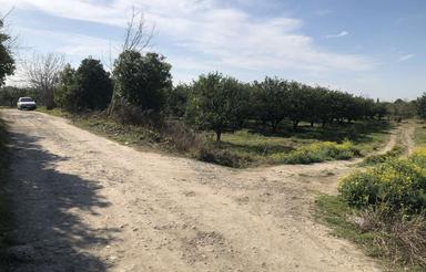 104 متر زمین 2 نبش خوش قواره نزدیک به بافت