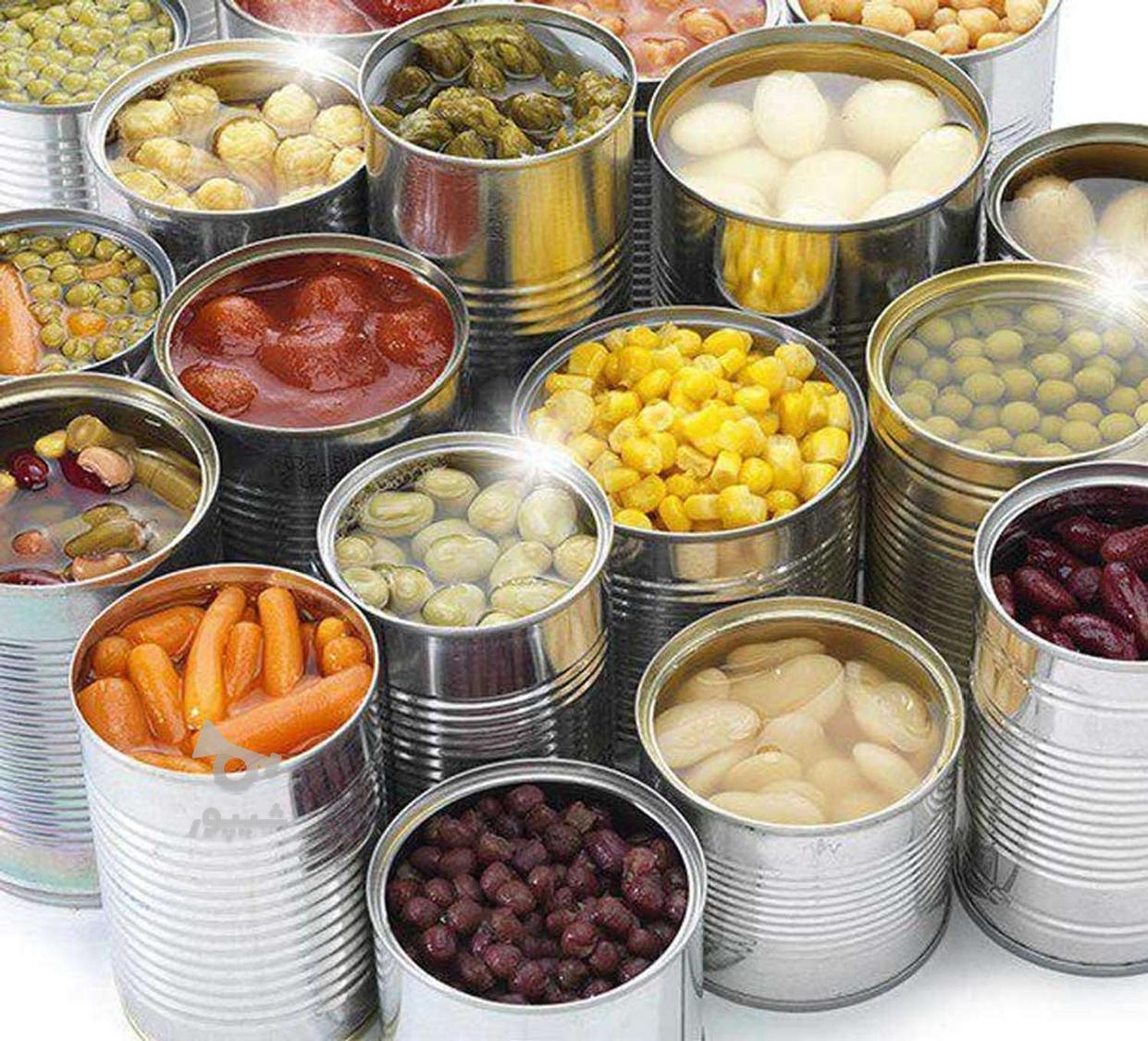 پذیرش نیرو در شرکت کنسرویجات - undefined