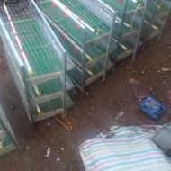 قفسه بلدرچین