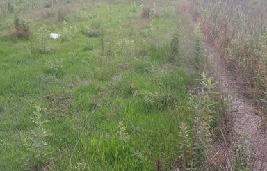 600متر زمین شهرکی با بحر 25متر