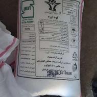 کوداورہ ہہہہہہہ