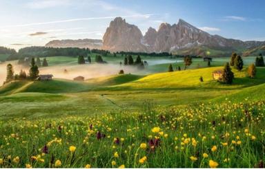 اجاره یه زمین یا سوله یا کارگاه