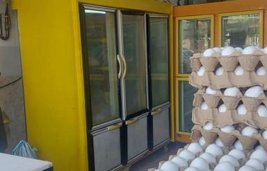 مغازه مرغ فروشی در حال کار