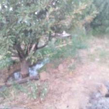 زمین باغ نزدیک شهر