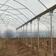 سازه گلخانه 2000متری(با اقساط 12ماهه)پیچ و مهره ای با نایلون