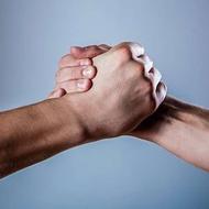 نیازمند همکار