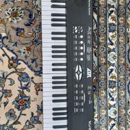 ارگ آموزشی AMT