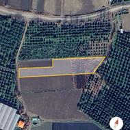 3424 متر زمین کشاورزی چسبیده به جاده بهنمیر