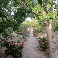 830 متر باغ ناژوان اصفهان