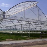 ساخت انواع گلخانه صنعتی و نیمه‌صنعتی از صفر تا صد