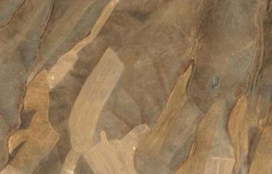 4 هکتار زمین کشاورزی دیم