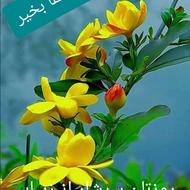 نظافت و آشپزی