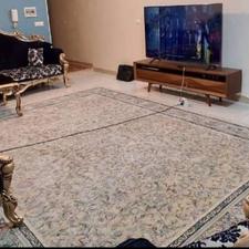 فرش گلاریس طرح غوغا12متری