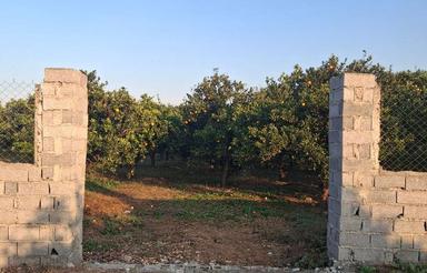 باغچه تامسون 600 متر ر کیلمتر 6 جاده دریا