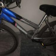 دوچرخه 26 فقط قیمت ببین