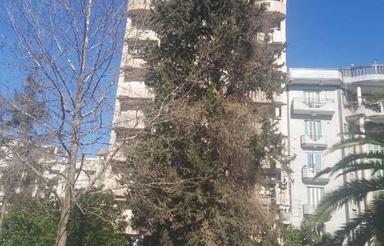 اجاره آپارتمان 165 متری در سلمان فارسی