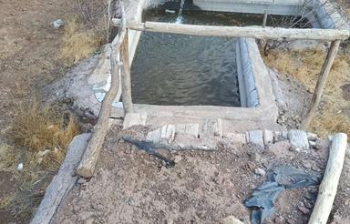 زمین بهر جاده اول یله گنبد درخت هم دار خانه هم دار