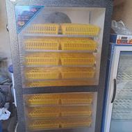 دستگاه جوجه کشی مازند چینکاوبلدرچین دماوند