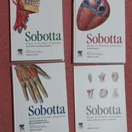 سری کامل کتابهای اناتومی اطلس زوبوتا