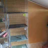 قفس جفت کن انواع قناری